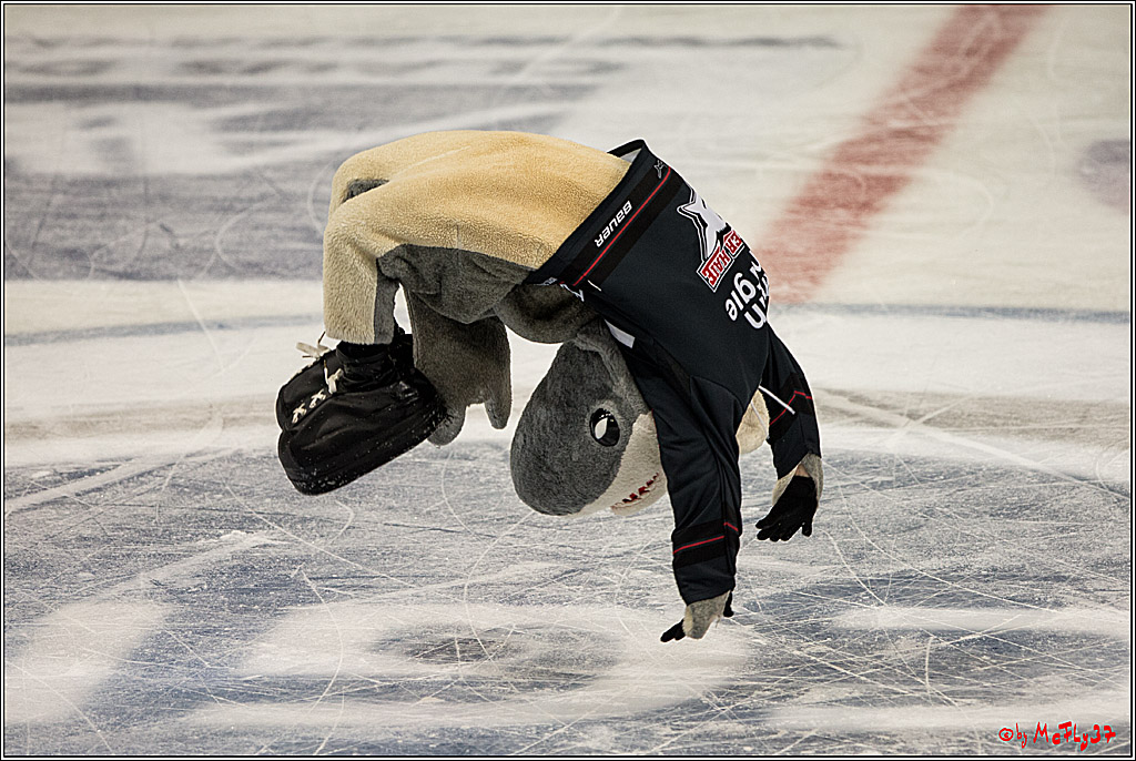 Koelner Haie - Duesseldorfer EG, 18.12.2016